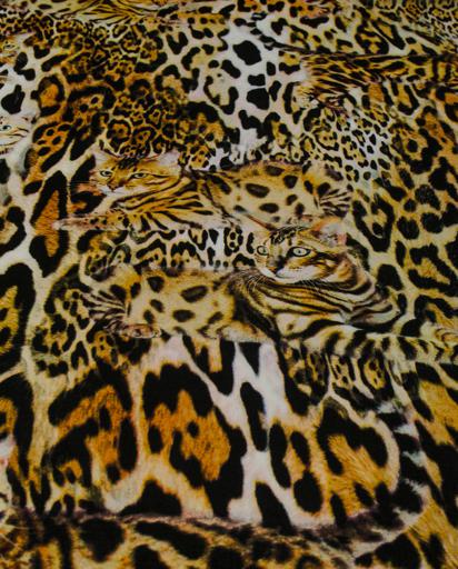 Шифон "Котики"