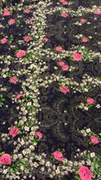 Креп Розы розовые на синем