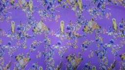 Лоренция Совы Светло-сиреневьй